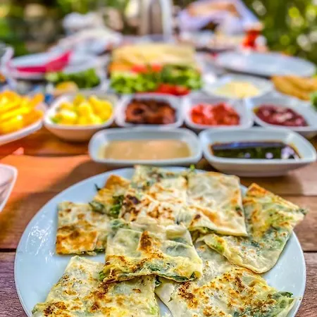 Kazdagi Saglikli Yasam Koeyue Doyran (Edremit)