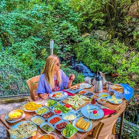 Kazdagi Saglikli Yasam Koeyue * Doyran (Edremit)