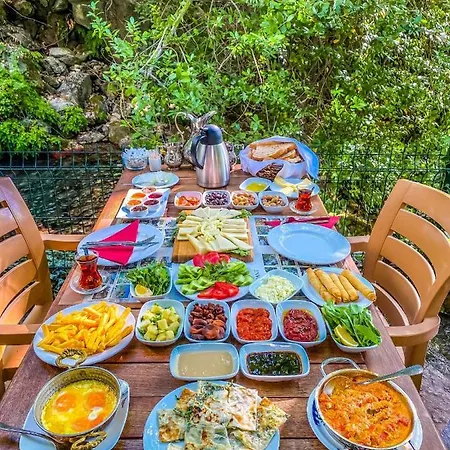 Kazdagi Saglikli Yasam Koeyue * Doyran (Edremit)