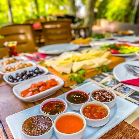 Kazdagi Saglikli Yasam Koeyue Doyran (Edremit)
