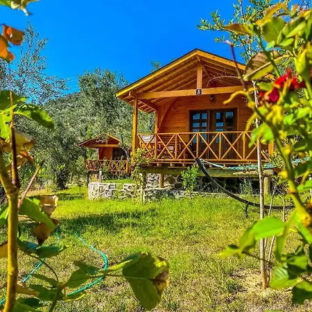 Kazdagi Saglikli Yasam Koeyue Lodge Doyran (Edremit)