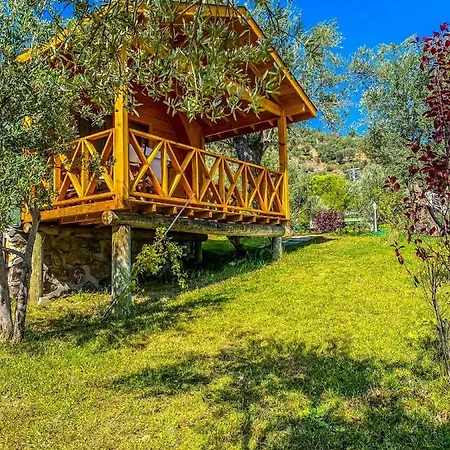 Kazdagi Saglikli Yasam Koeyue Lodge Doyran (Edremit)